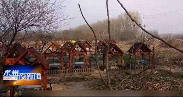 北京宠物火化服务怎么收费_宠物火化北京_北京 宠物火化 慈