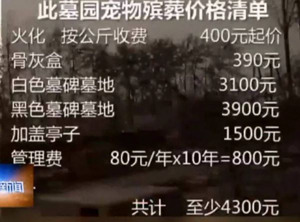 北京宠物火化服务怎么收费_北京 宠物火化 慈_宠物火化北京