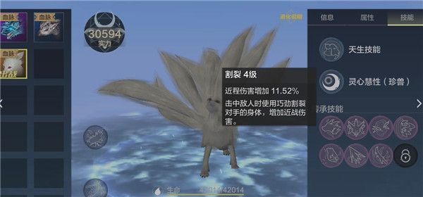 妄想山海宠物技能选择攻略