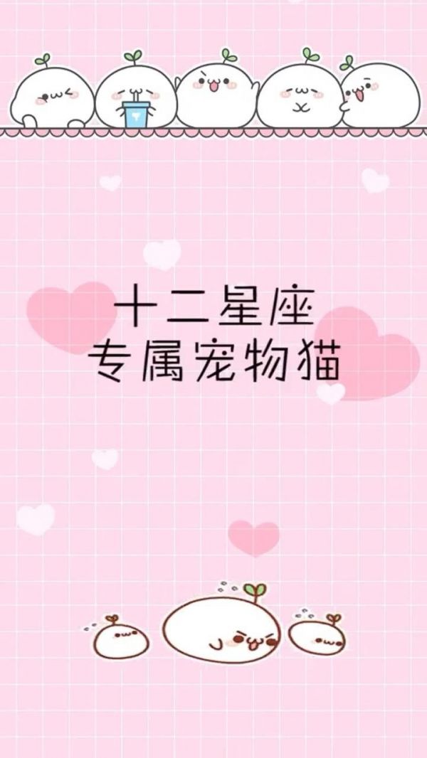 下篇:十二星座专属宠物猫
