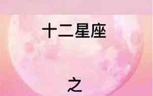 十二星座专属宠物神兽