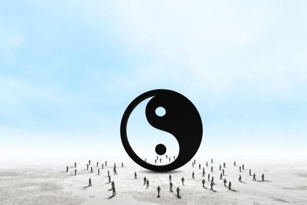十二星座专属宠物是什么(探寻星座宠物的神秘面纱) 第2张