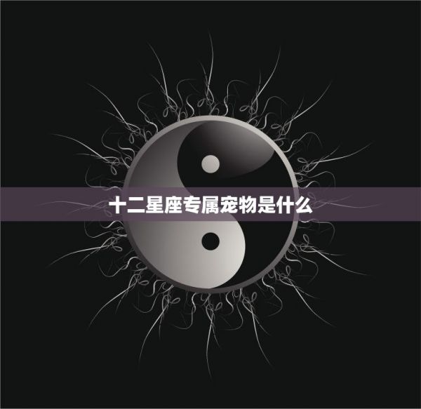 十二星座专属宠物是什么(探寻星座宠物的神秘面纱) 第3张