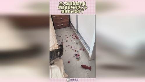 主人清理床底毛球，没想到竟收获这么多，猫猫自己都惊了！