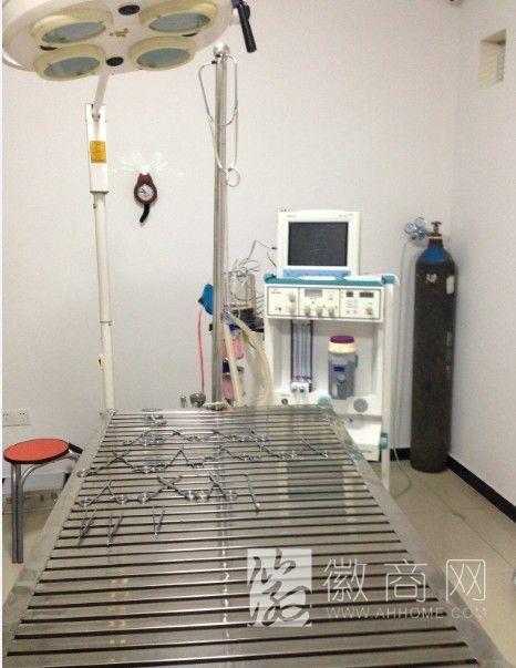 马鞍山市小宠当家宠物医院 手术室