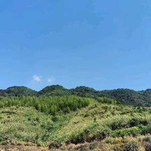 龙岩市灵鑫宠物医院头像