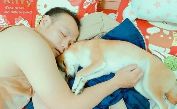 男主半夜说自己的腿没知觉，女主开灯一看笑喷：是被狗压住了
