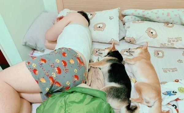男主半夜说自己的腿没知觉，女主开灯一看笑喷：是被狗压住了