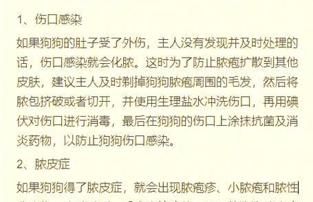 狗狗肚子里有虫?这6招,轻松帮你搞定!(宠物狗感染虫子怎么办?掌握这6种方法,让你的狗狗远离虫害!)