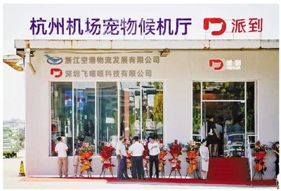 华东首个！ 杭州机场宠物候机厅正式启用