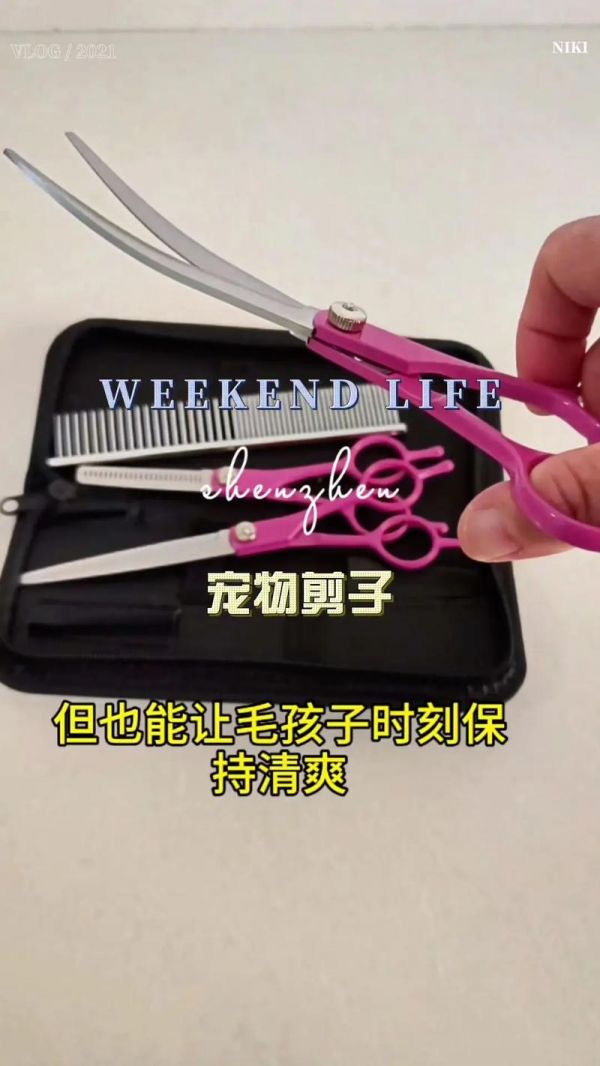 宠物美容练习剪毛,宠物美容教学剪毛视频