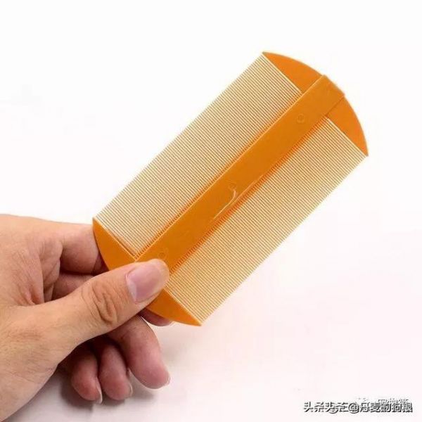 猫狗身上有跳蚤咋办？洗干净也还是无法杜绝？知道这些你就别愁了