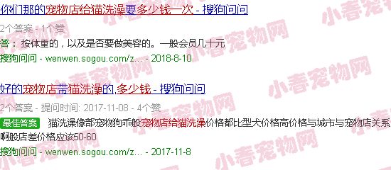 在宠物店给猫洗澡多少钱一次