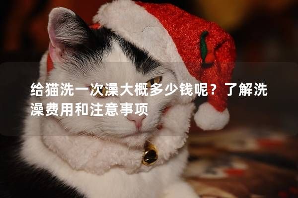 给猫洗一次澡大概多少钱呢？了解洗澡费用和注意事项