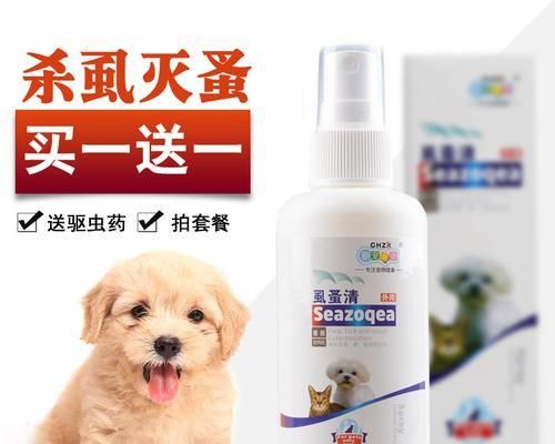宠物消炎杀菌必备，以狗消炎杀菌药推荐（选择正确的狗消炎杀菌药）