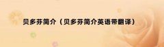 贝多芬简介（贝多芬简介英语带翻译）
