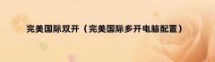 完美国际双开（完美国际多开电脑配置）