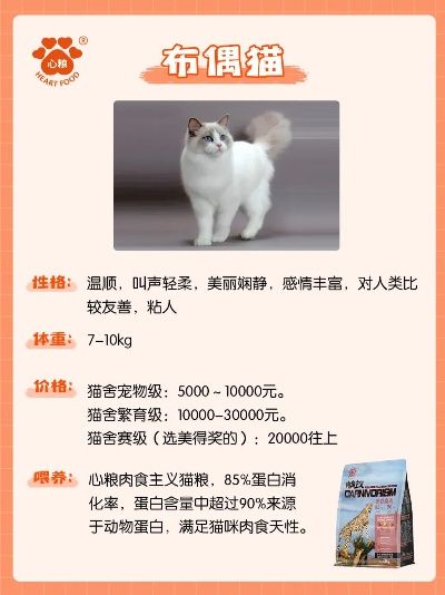 奥米宠物 全面了解奥米宠物的品种和特点 第2张