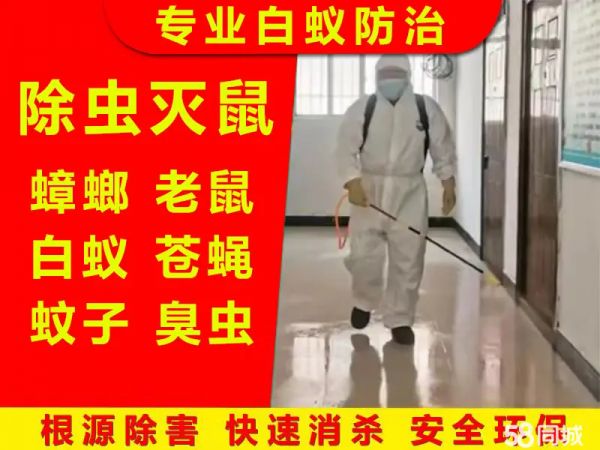 店主头像