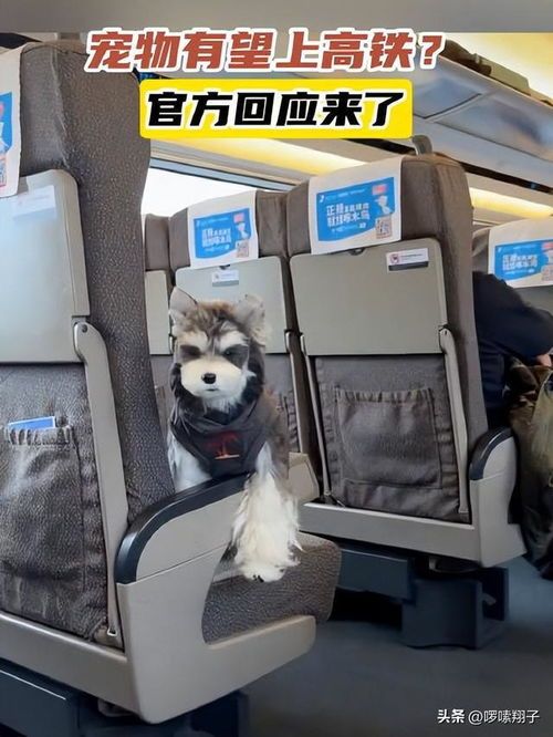 高铁上可以带宠物吗?