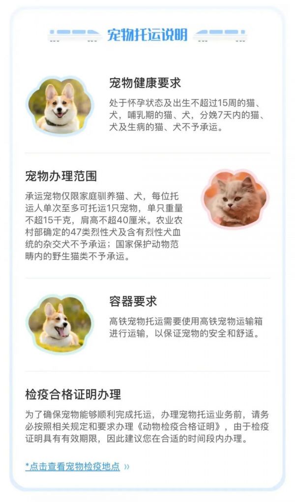 宠物猫狗能坐高铁了！这10趟列车可预约，操作指南请收好→