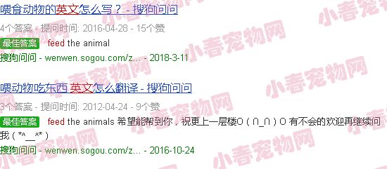 喂狗英文
