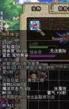 地下城与勇士：回首多年来的经典宠物这些宠物基本上再也无法获得
