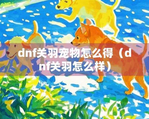 dnf关羽宠物怎么得（dnf关羽怎么样）