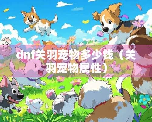 dnf关羽宠物多少钱（关羽宠物属性）