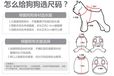 东莞宠物服装、趣逗派、宠物服装定制生产