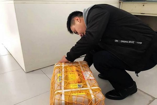 潍坊机场重获宠物运输权限，活体运输进入新阶段