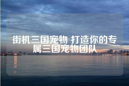 街机三国宠物 打造你的专属三国宠物团队 第1张