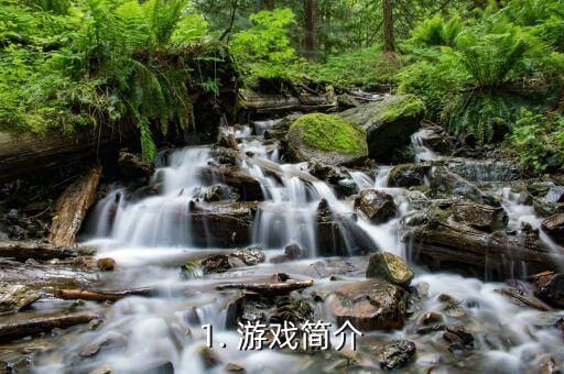 1. 游戏简介
