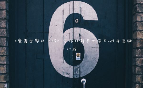 《魔兽世界怀旧服》宠物技能怎么学习_战斗宠物训练