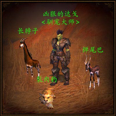 魔兽世界派恩少校的高级宠物战斗训练：凶狠的达戈