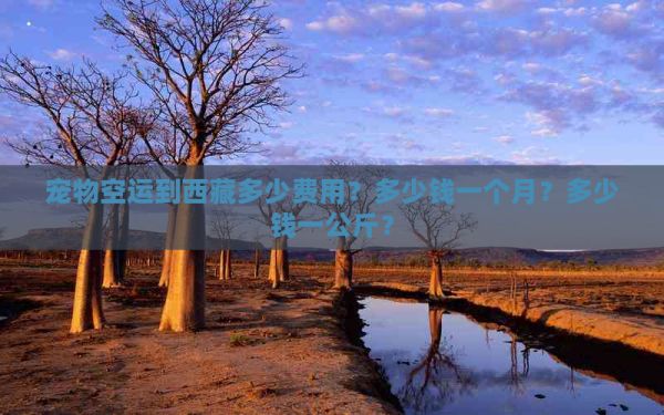 宠物空运到 多少费用？多少钱一个月？多少钱一公斤？