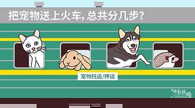 动车能带宠物吗