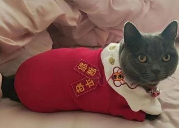 QQ截图20230111162729.png