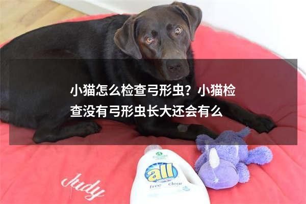 小猫怎么检查弓形虫？小猫检查没有弓形虫长大还会有么
