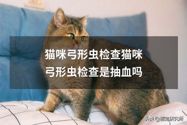 猫咪弓形虫检查猫咪弓形虫检查是抽血吗