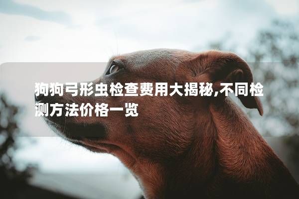 狗狗弓形虫检查费用大揭秘,不同检测方法价格一览