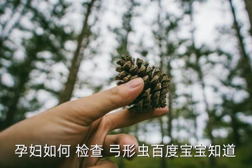 孕妇如何 检查 弓形虫百度宝宝知道
