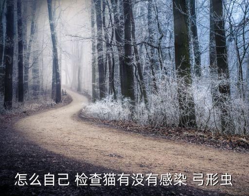 怎么自己 检查猫有没有感染 弓形虫