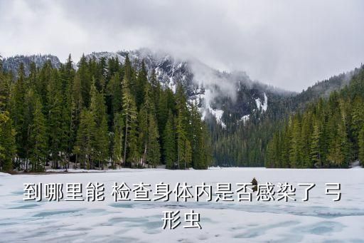 到哪里能 检查身体内是否感染了 弓形虫