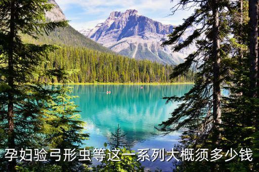 孕妇验弓形虫等这一系列大概须多少钱