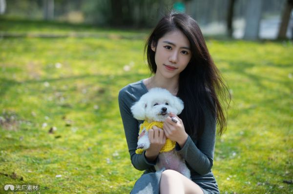 坐在草地上的美女与宠物狗比熊犬