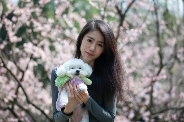 春天公园花丛里的美女与宠物狗比熊犬图片素材