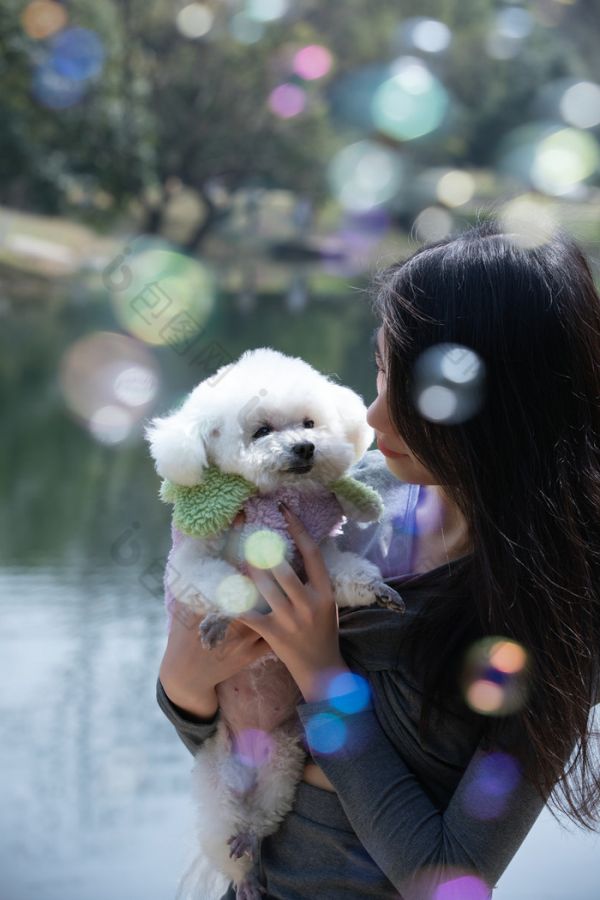 公园湖边的美女抱着宠物狗比熊犬图片