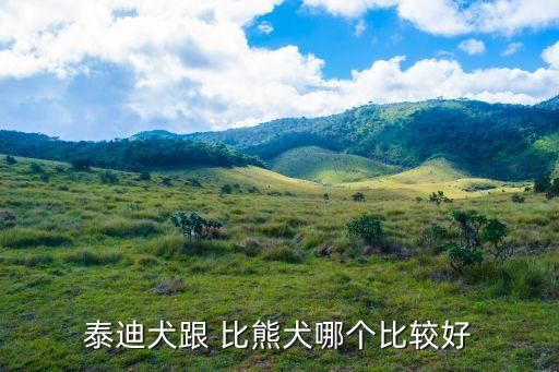 泰迪犬跟 比熊犬哪个比较好