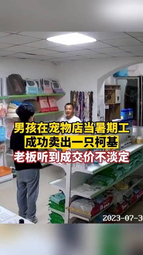 男孩在宠物店当暑期工成功卖出一只柯基老板听到成交价不淡定